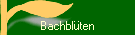 Bachbl�ten