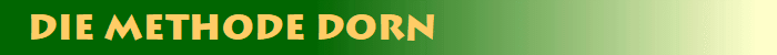 Die Methode Dorn